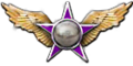 Freedom-Phalanx-Reserve-Member-Freedom-Phalanx-Fallen-accolade.png