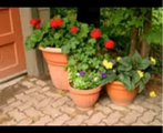 Image #2.