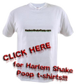 The official T-shirt; it’s unknown whether Steezy actually sold any