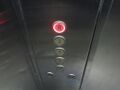 D-Line D2 buttons with red illumination.