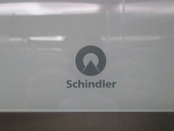 Grey Schindler Logo on FIGS Bali.jpg