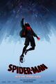 Spider-Man Into the Spider-Verse (2018) poster.jpg