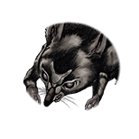 Rat - JoJoSS Wiki