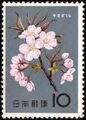 Japan 1961 Yamazakura.jpg