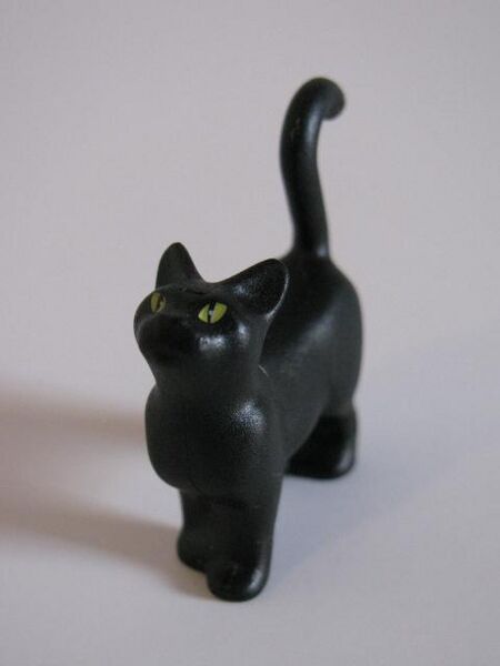 File:Black cat.jpg