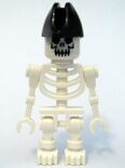 Skeleton Pirate Captain.jpg