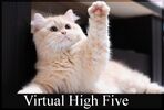 Virtual-high-five.jpg