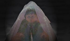 5125111664 f053dc752f.jpg