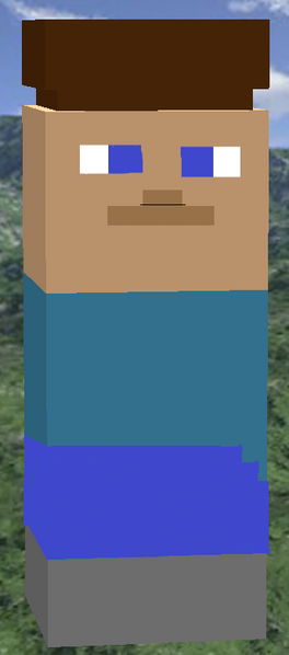 File:Steve 2.png