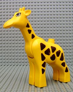 Girafe.jpg