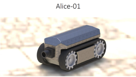 2014 RabMap Alice 1.png