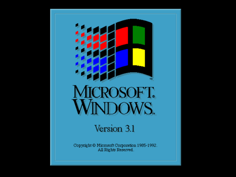 Windows 3.1 - Misc Data Digs