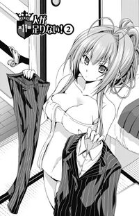 Chapter 11