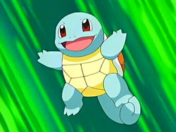 Squirtle Starter.png