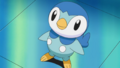 Piplup starter.png
