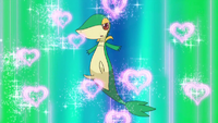 Snivy Attract.png