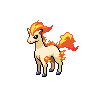 horse with large eyes, broad ears, flaming mane and tail