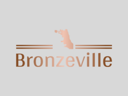 Bronzeville-logo.png