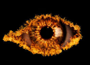 Cbb7-logo.png