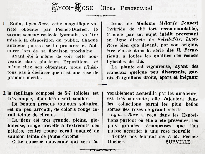 Lyon rose 1907 t1.jpg