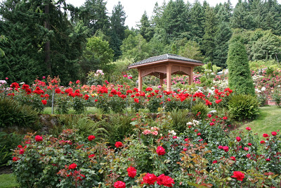 Portland International Rose Test Garden.jpg