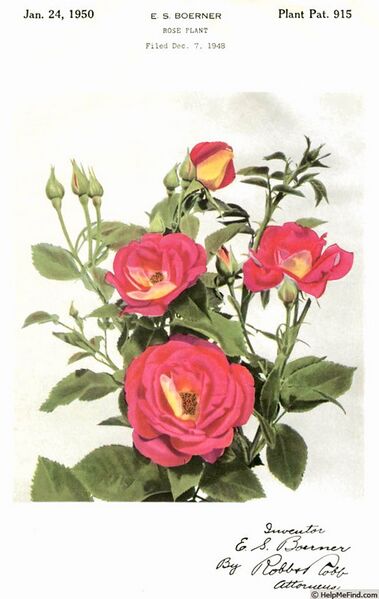 Datei:Holiday, E.S. Boerner, Patentanmeldung-2-w.jpg