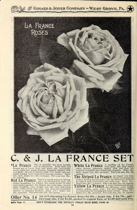 La france 1910.jpg