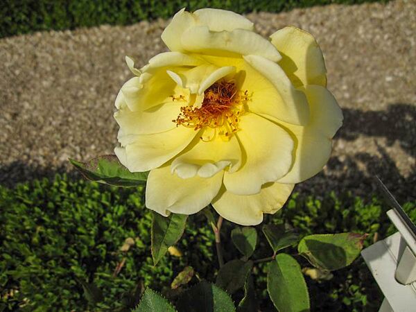 Eclipse, Stéphane Barth, L'Haÿ 1-2-w.jpg