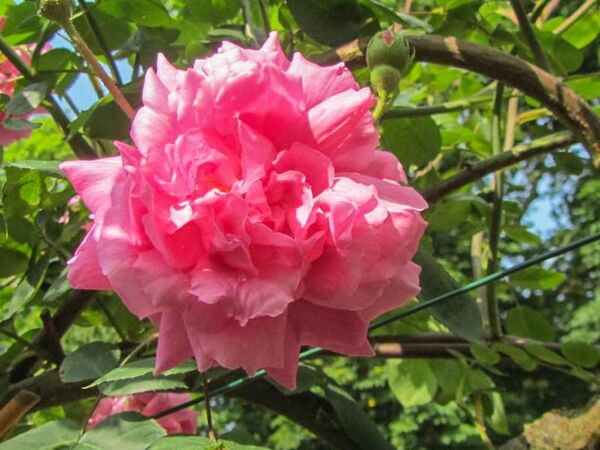 Souvenir de Nemours, Stéphane Barth, L'Haÿ 1-2-w.jpg