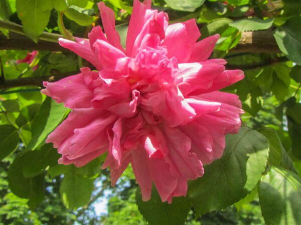 Souvenir de Nemours, Stéphane Barth, L'Haÿ 3-2-w.jpg