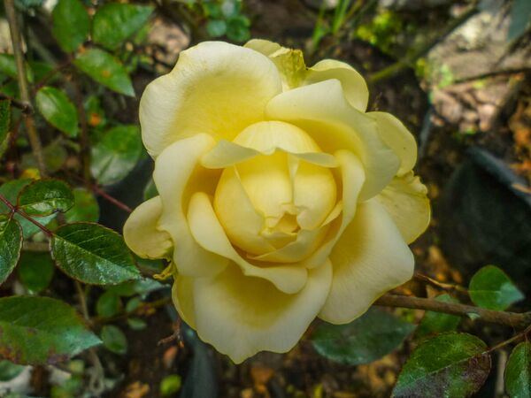 Christopher Camille Warrior Princess (5)-2-w.jpg