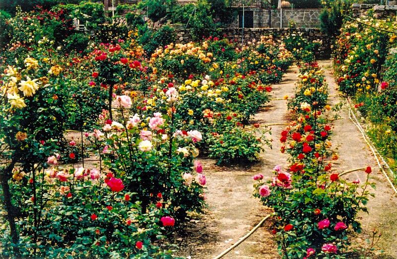 Datei:Escanear0001manzanares del real-2-w.jpg