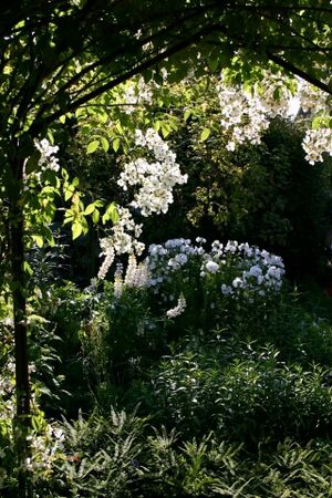 Sissinghurst white garden.jpg
