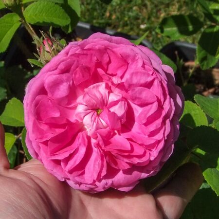 01 Antéros 2025GE-2-w.jpg