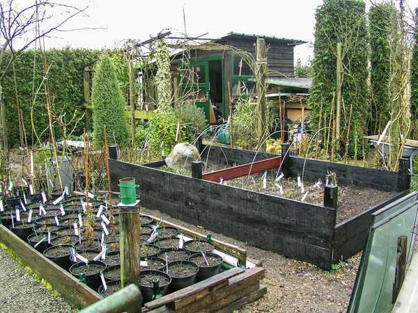 März 2006