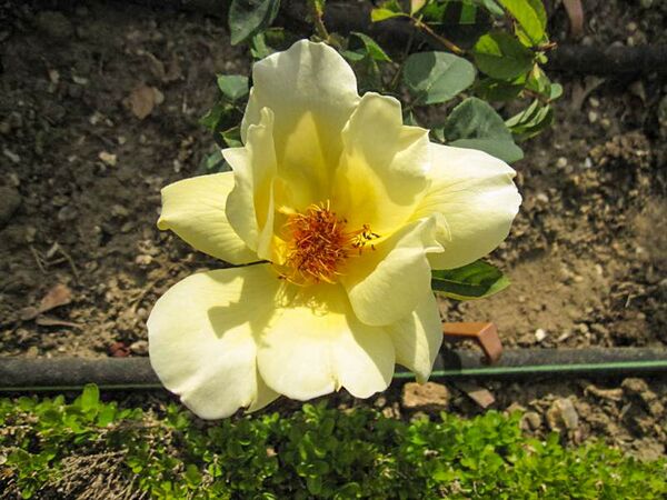 Eclipse, Stéphane Barth, L'Haÿ 2-2-w.jpg