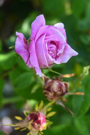 DSC 5875-2-w.jpg
