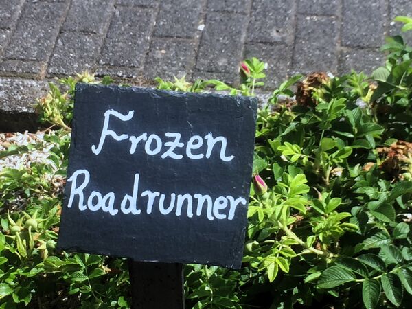 Et voici l'écriteau des "Frozen Roadrunners" voisins