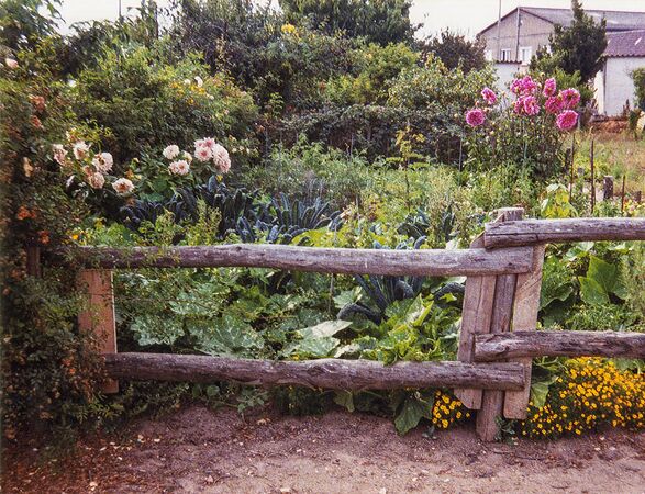 Frühjahr 1998
