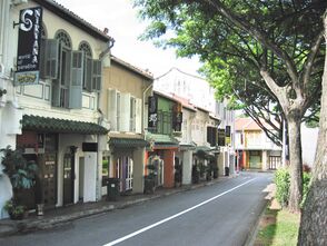 Row of shophouses along Duxton Hill where Inner Circle is located.