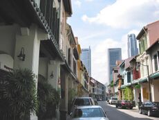 Rows of shophouses along Amoy Street in which Caprice is located.
