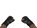 Csgo fists.png