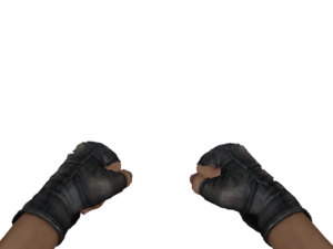 Csgo fists.png