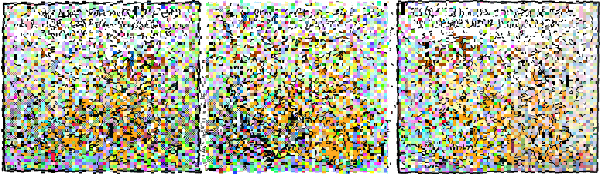0660.png