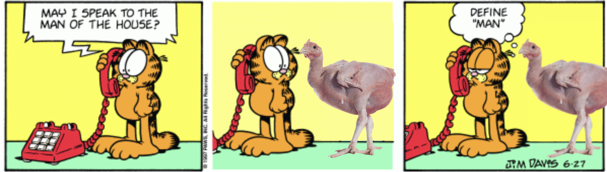 5865.png