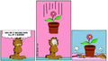 Thumbnail for version as of 07:00, 11 May 2025