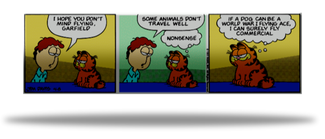 283: Free Floating Garfield - SRoMG Explained
