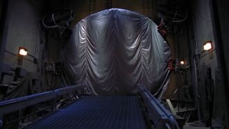 Tarp (Children of the Gods - Final Cut).jpg