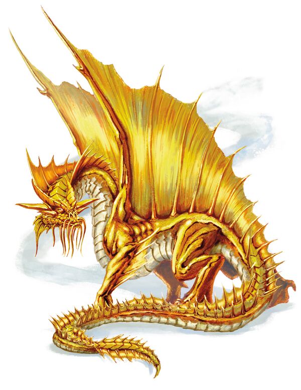 Gold dragon - Syra D