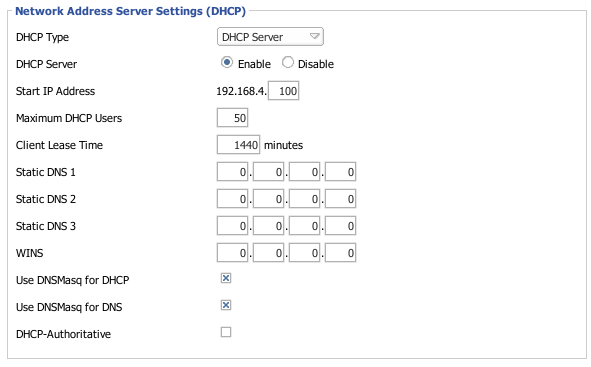 DHCP Using DNSMasq Basic Settings.png